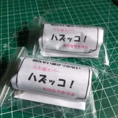 はずっこ２個セットで出品