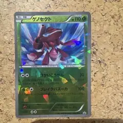 ゲノセクト PROMO BW-Pプロモカード 232/BW-P