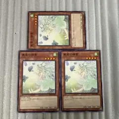 遊戯王　裏風の精霊 ノーマル3 ファントムリベンジャーズ