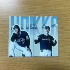 WE LOVE HOKKAIDO WLH ステッカー 伏見 山崎