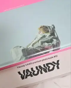 VAUNDY プレミアムフォトブック 新品未開封