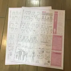 【NEW GAME!!】設定資料