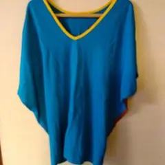青と黄色のVネックTシャツ　フリーサイズ