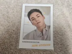 成分エディター VERNON