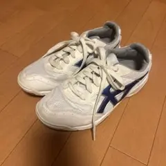 Moonstar/ムーンスター 体育用シューズ ジムスター25.5