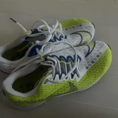 Item thumbnail for item c8478af6-d101-4755-9e62-397030dd6b25