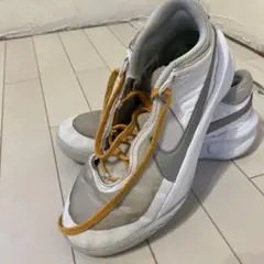 NIKE バッシュ 25cm