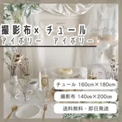 セット商品　チュール アイボリー　背景布 アイボリー　撮影用　誕生日 1