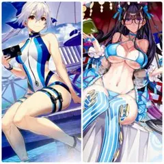 FGO 最終再臨画集 水着巴御前&水着紫式部
