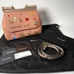 美品 Du0026G ドルガバ 2way シシリー SICILY パイソン 最高級