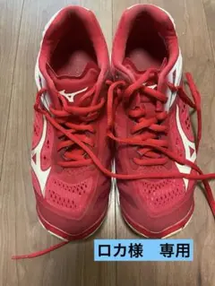 Item thumbnail for item 72408c55-30de-4563-93bd-97f9d77a564a