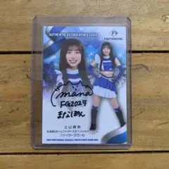 Item thumbnail for item 9506cb67-9291-456b-a22b-9e8c6772433d