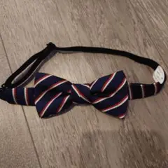 Item thumbnail for item ed7782fd-2345-47f7-82ae-fa1dde158ecc