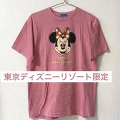 東京ディズニーリゾート 限定 アパレル ミニー 美品 即購入OK