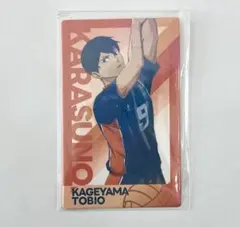 2025年最新】ハイキューフライハイの人気アイテム - メルカリ