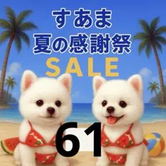 ✨夏の感謝祭セール✨パネル【Ｎｏ．61】