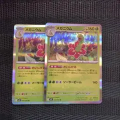 メガニウム　R おいしげる　2枚セット