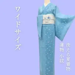 m1818＊洗える夏着物 薄物 ワイドサイズ 小紋