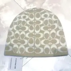 Item thumbnail for item 419b0711-84d7-4a3e-8d0b-74b0bdf66d2c