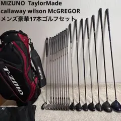 2025年最新】wilson promatrix アイアンの人気アイテム - メルカリ