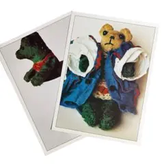 Item thumbnail for item 60c29a5f-c732-4826-90dd-4802c7901321