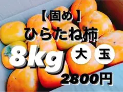 大玉!!!【固さに自信有り!!ヒラタネ柿 8.0kg】2,800円 ご家庭用