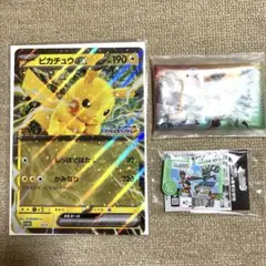 ポケモン　メガスタンプラリー　2025 JR東日本　3点セット③