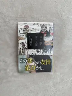 盲目的な恋と友情　辻村深月