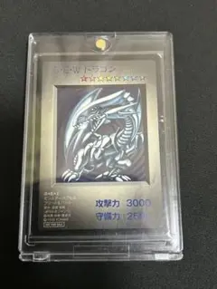2025年最新】BEWドラゴンの人気アイテム - メルカリ