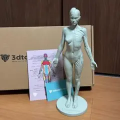 Item thumbnail for item d643bfd5-9d38-45f9-8817-6a806d4c272a