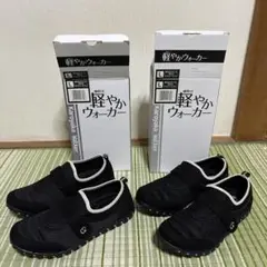 Item thumbnail for item 30e6dd5d-b599-47ac-a7fb-76bc33f070c5