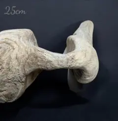 Item thumbnail for item 8e92c644-2e53-4962-a28c-679c99cd4743