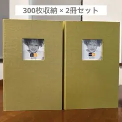 Item thumbnail for item b744e6a5-8dc3-4a68-ab2e-5c8856162851