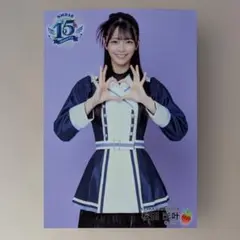 Item thumbnail for item 4d9dee1b-c958-43a8-95f9-268c94bd068c