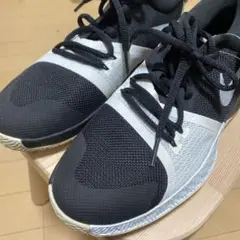新品未使用 ナイキ ズーム アサーション 23.5cm