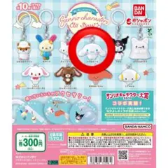 めじるしアクセサリー サンリオキャラクターズオールスターズ シナモン
