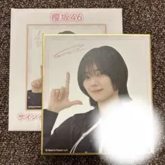 櫻坂46 欅坂46 日向坂46サイン色紙 欅坂46(けやき坂46) - 欅坂46 櫻坂46【世界には愛しかない・1期