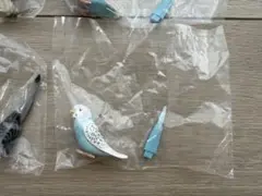 手のりインココレクション・オカメインコ・セキセイインコ　ガチャガチャ