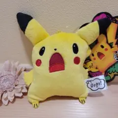 2025年最新】pokemon ぬいぐるみ oopsの人気アイテム - メルカリ