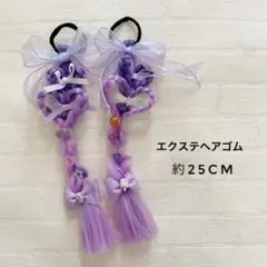 エクステヘアゴム パープル 2個セット