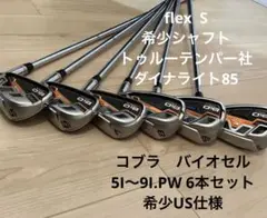 希少!ゴブラバイオセルアイアンUS仕様 5I〜9I.PW 6本セット