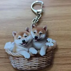 新品未使用の可愛い柴犬の子犬 バスケット キーホルダー