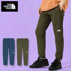 Item thumbnail for item 1a369485-808e-4895-9eca-a6937893b0ba