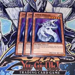 北米版 サイバー・ドラゴン BP 遊戯王 海外 英語 米