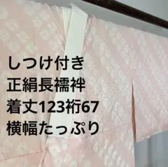 Item thumbnail for item 6c518524-4d94-42e4-a795-585d7985520b