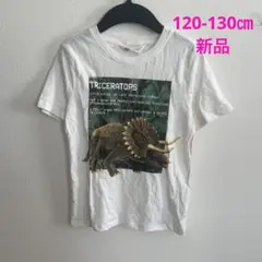 120-130㎝❤️新品！恐竜Tシャツ♡ティラノサウルス　化石