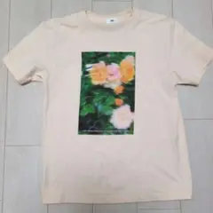 IAMI　CAR WINDOW Tシャツ （F　ベージュ）