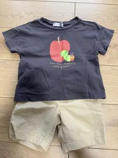 あおむし　Tシャツ　短パンセット　95 90