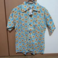 Item thumbnail for item 7d29154e-402a-43d3-8f2d-0145f0587df3