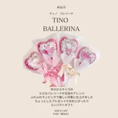 あや様 専用 8月10日までのお届け届 No1